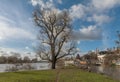 Wintry river landscape Main, Nidda near Frankfurt-HoÃËchst Royalty Free Stock Photo